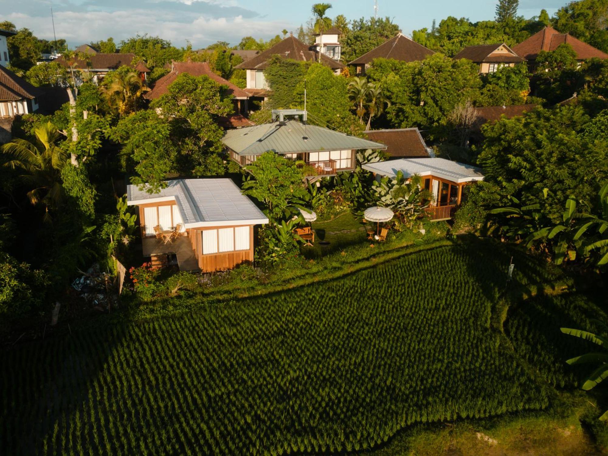 Gruen Ubud ภายนอก รูปภาพ